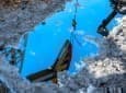 Venezuela’s Oil Industry Is Killing South America's Oldest Lake Venezuela’s Oil Industry Is Killing South America's Oldest Lake