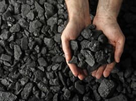 Coal