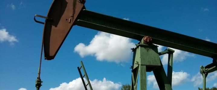 Oil Oil