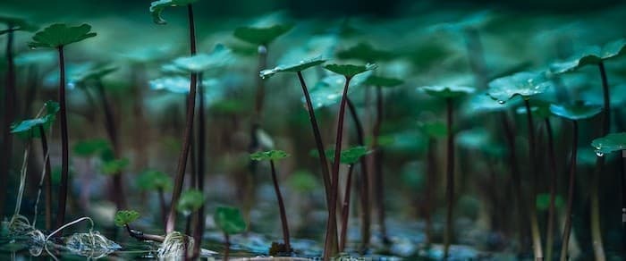 Could This Be The Hottest Investment Sector For 2021? Could This Be The Hottest Investment Sector For 2021?