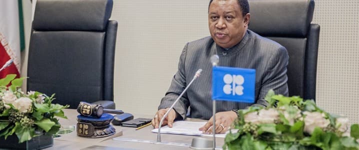 OPEC Secretary Urges Member Countries To Continue Oil Investments