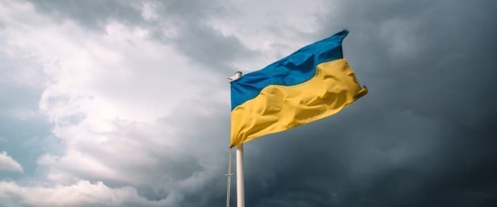 Why Is Ukraine Ignoring Its Massive Bioenergy Potential?