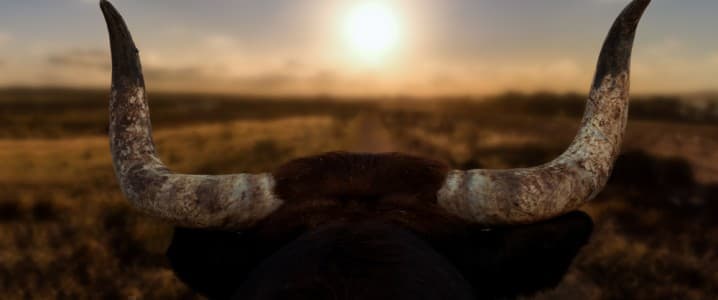Oil Prices Bounce Back On Bullish News Oil Prices Bounce Back On Bullish News