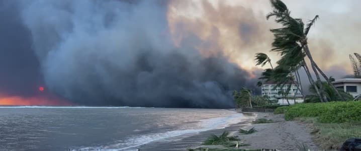 Maui Fires: A Lesson For Utility Companies?