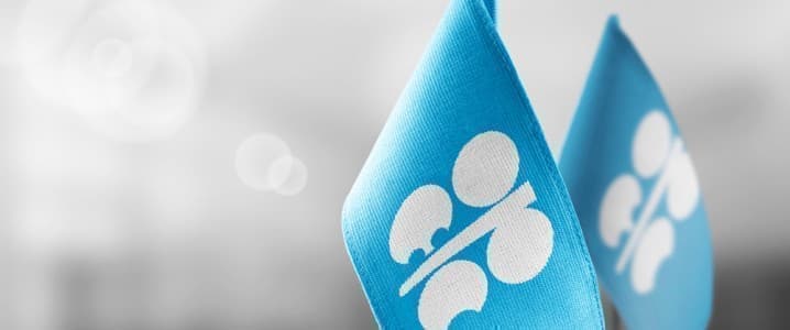 OPEC Raises Oil Demand Growth Estimates for Next Year