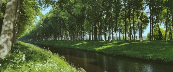 How Solar Canals Could Revolutionize the Water-Energy-Food Nexus