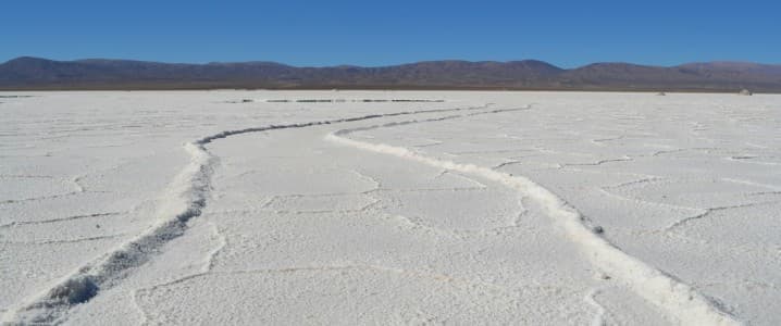 U.S. Government Invests in Lithium Americas