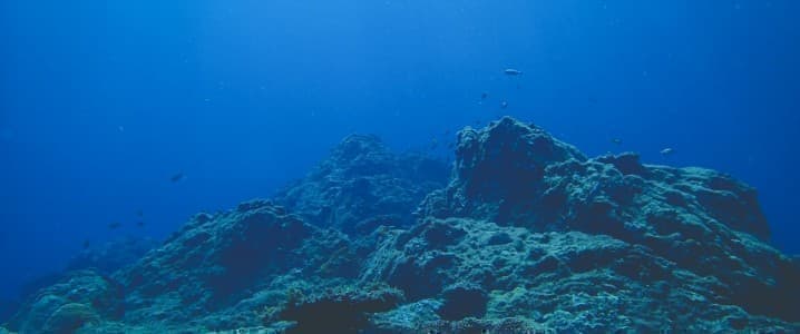 Inside the Deep-Sea Mining Debate