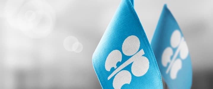 OPEC+ Oil Production Falls by 439,9000 Bpd