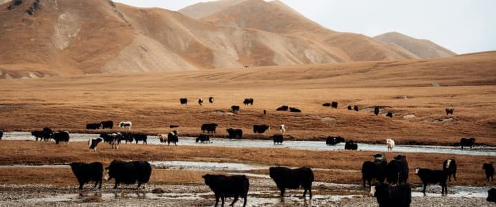 Central Asia&rsquo;s Water Crisis Deepens as Leaders Clash Over Control