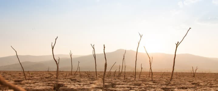 A dried up river bed representing climate change.