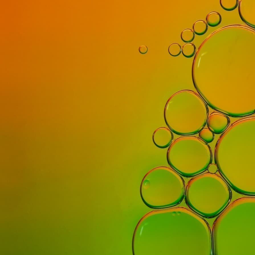 Trumps First Trialsplit-screen campaignpolitical revelation