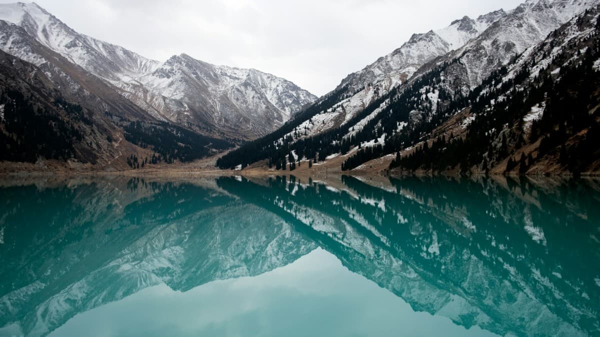 Sh Environment. All Big Oil Challenges $5 Billion Environmental Fine in Kazakhstan ...