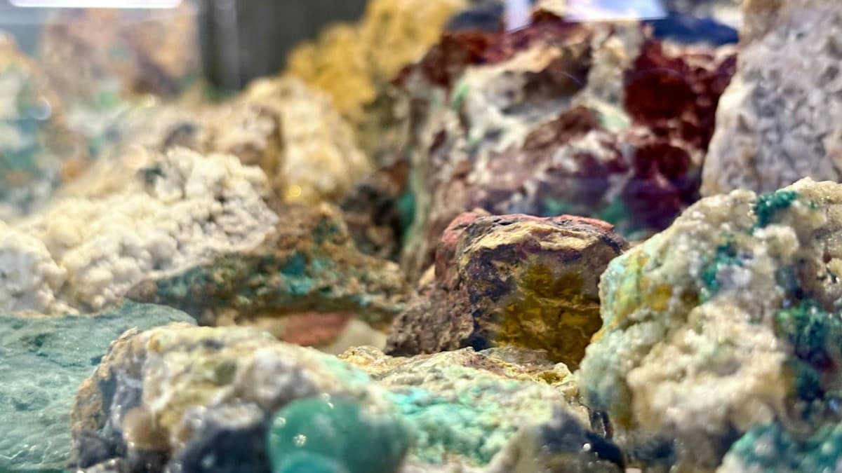 Germany and South Korea Face Rare Earths Supply Shortage