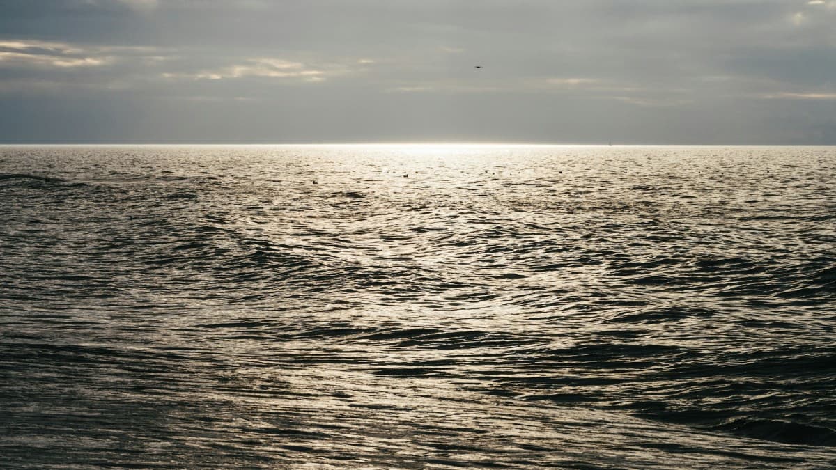 Russias Vital Baltic Oil Hubs Crippled by Ukrainian Drone Campaign