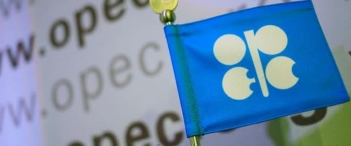 OPEC Flag