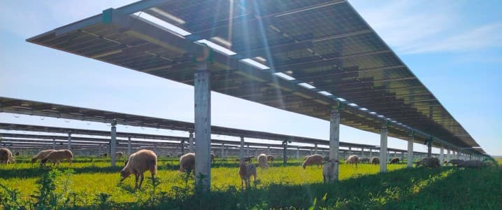 Solar Stocks Score Major Gains on Trump Policy Clarification