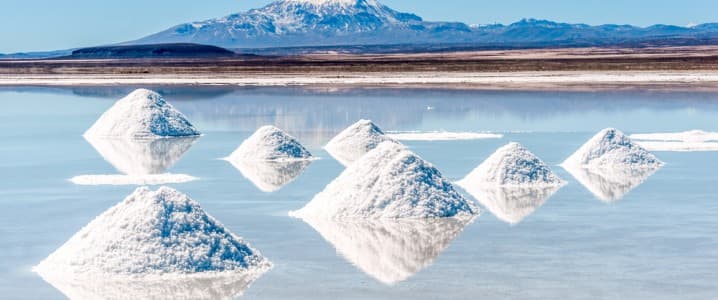 Bolivia Assures Investors It Will Keep Existing Lithium and Energy Contracts