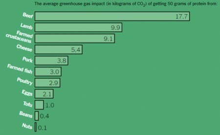 is meat worse than oil